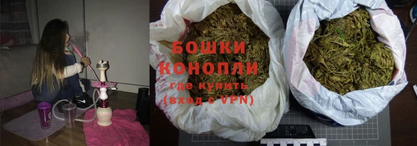 дживик Надым
