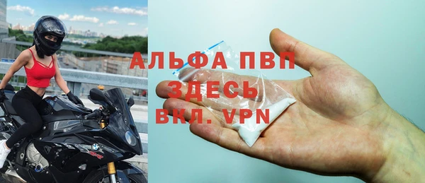 дживик Надым