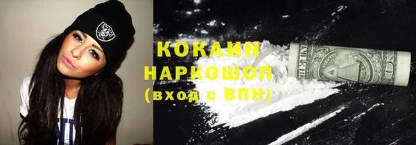 дживик Надым