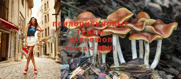 шишки Навашино