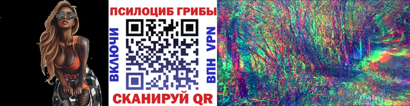 Псилоцибиновые грибы мицелий  Сасово 